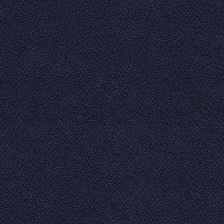 Xtreme Plus blau 0024