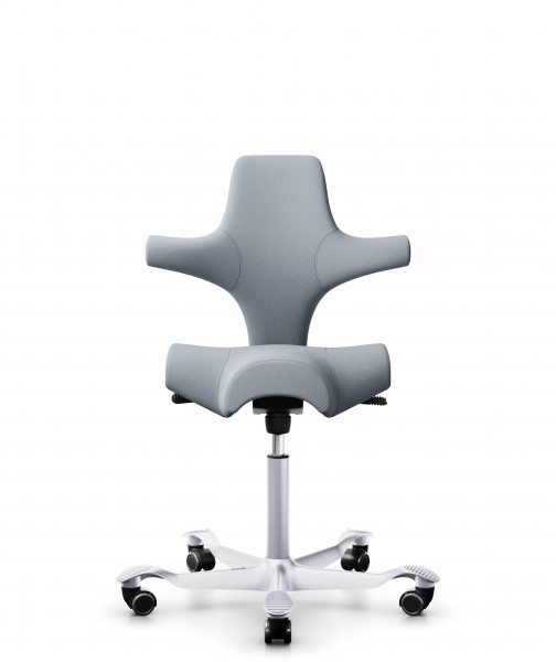 HAG Capisco 8106 Select 60139 hellgrau