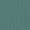 Nexus 010